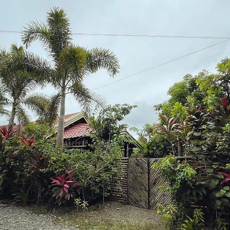 The Jungle Hut Bed & Breakfast Baler Dış mekan fotoğraf