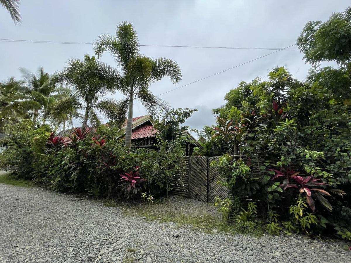 The Jungle Hut Bed & Breakfast Baler Dış mekan fotoğraf